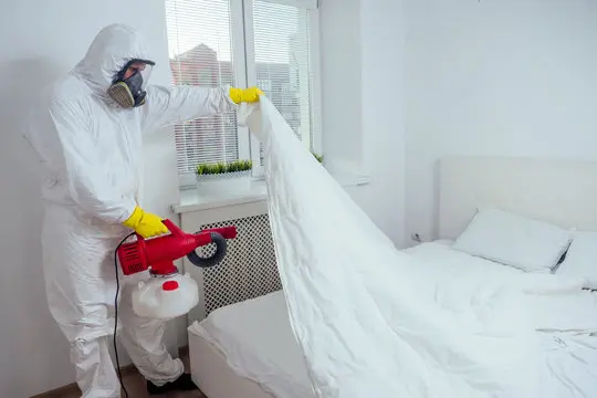 home bed bug control
